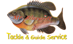 click here to check out Mr. Bluegills ice fishing web site