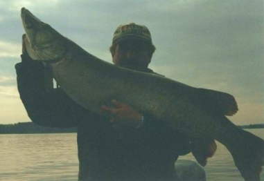 John Unsworth with a 50 pounder taken September 2000 on LOTW